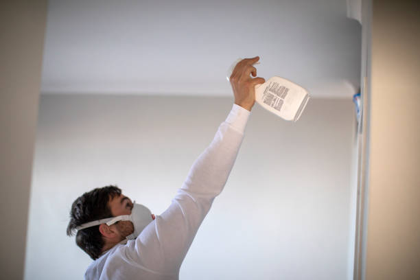 Best DIY Mold Remediation Support Services in Rainbow Springs, FL